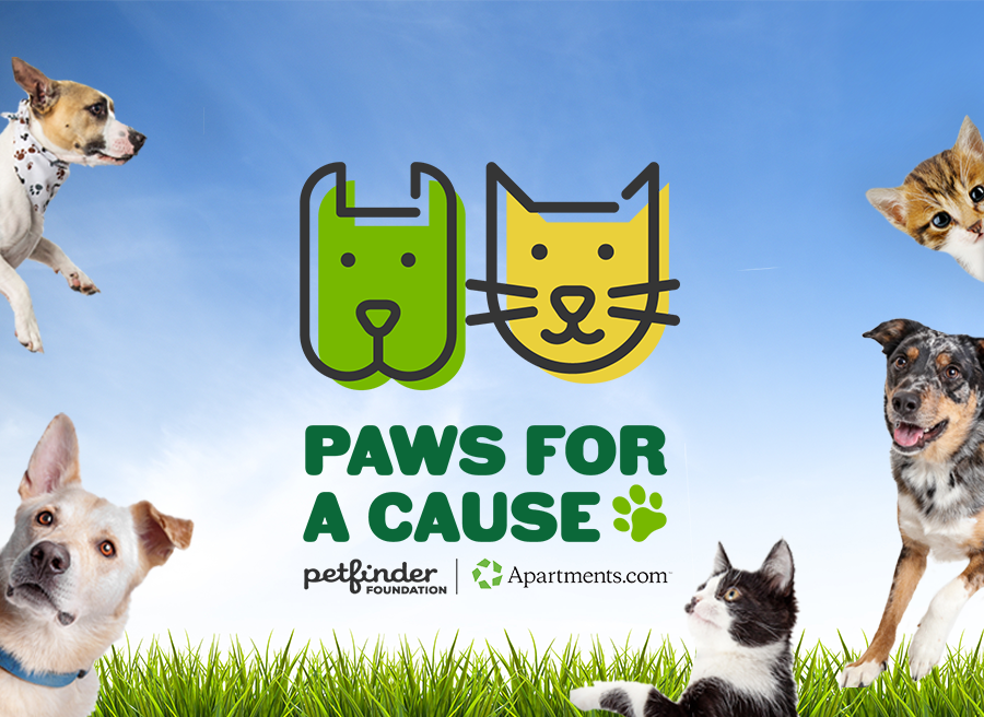 paws for a cause