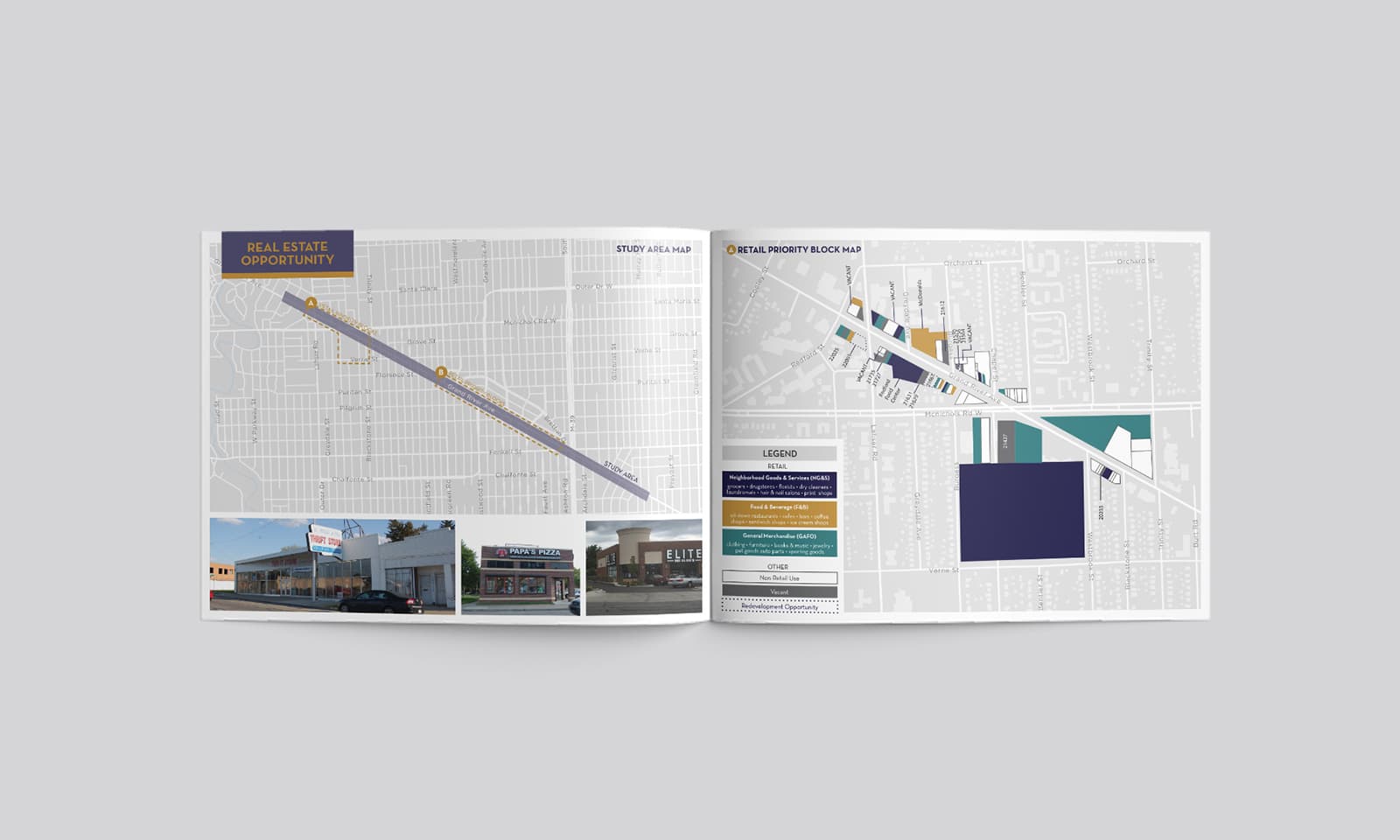 A page view of the Detroit Retail Plan
