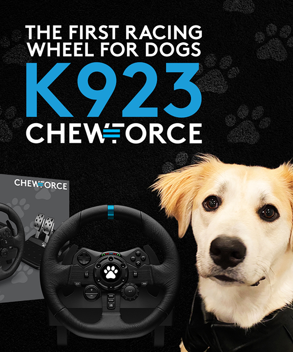 dog on chewforce graphic