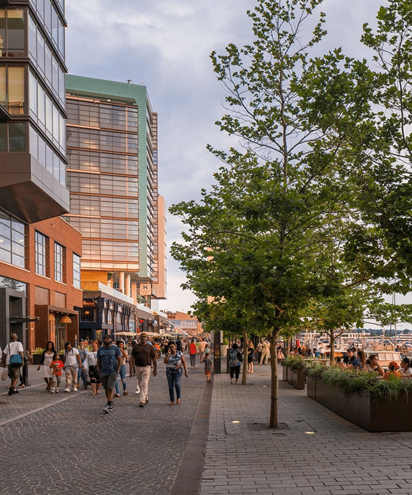 the wharf at sunset